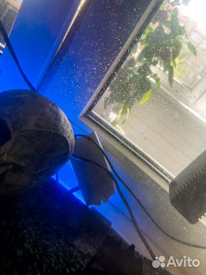 Аквариум с крышкой aquael (фирменный оригинал)