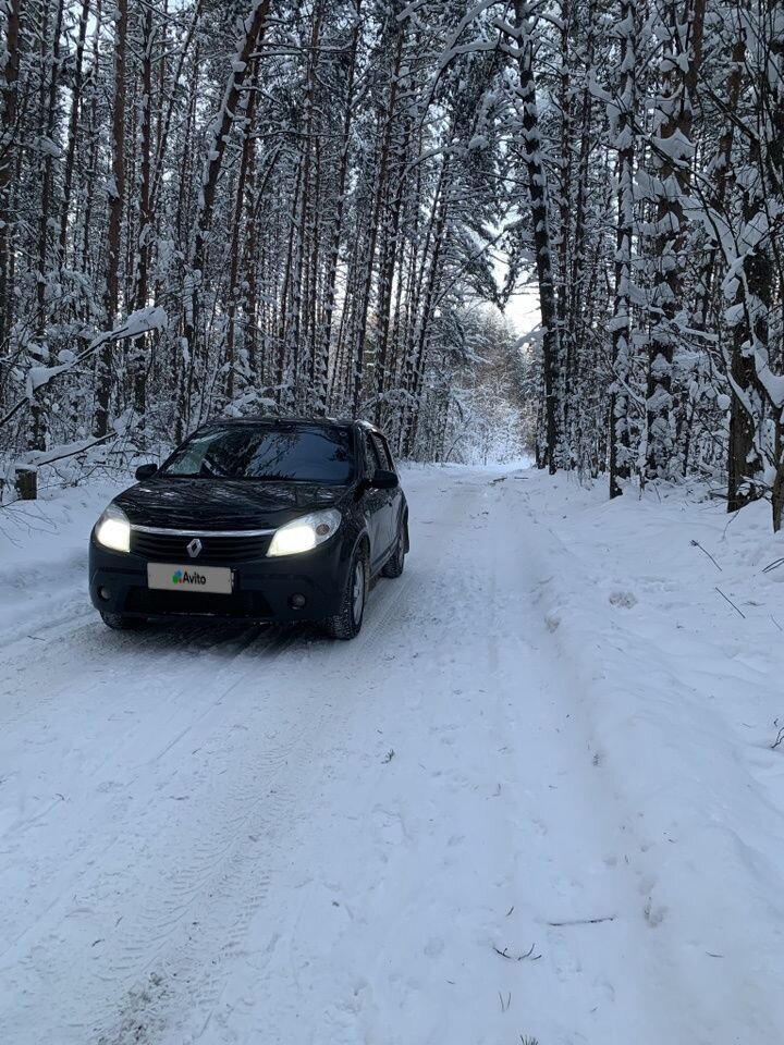 Renault Sandero: фото владельца