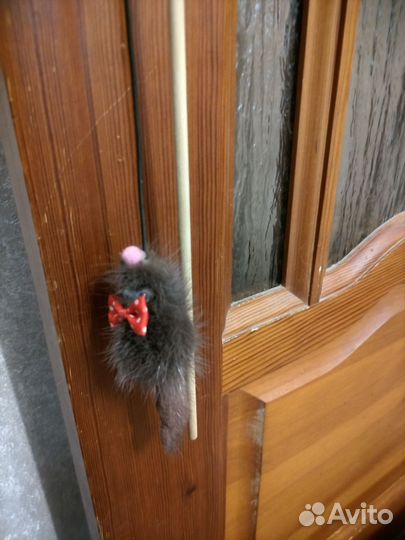 Игрушки, туалет лоток для кошек