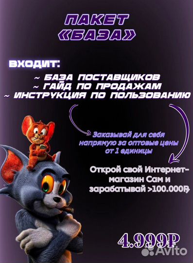 Готовый бизнес дропшипп