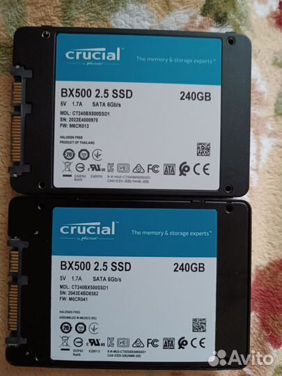 Ссд crucial 256