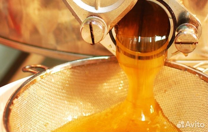 Мёд натуральный алтайский оптом от 16 кг