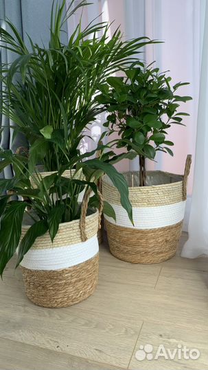 Кашпо напольное плетеное