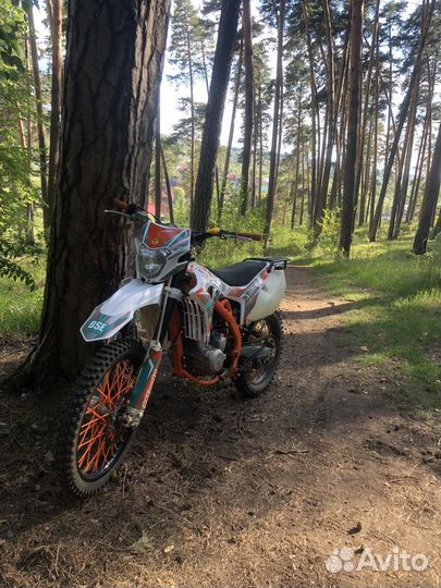 BSE Z6