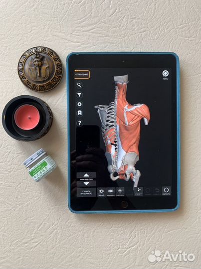 Массажист для женщин