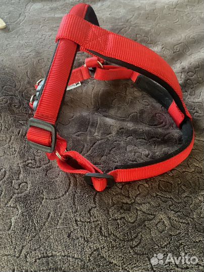 Шлейка, поводок, ошейник