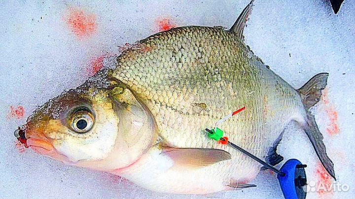 Зимняя рыбалка