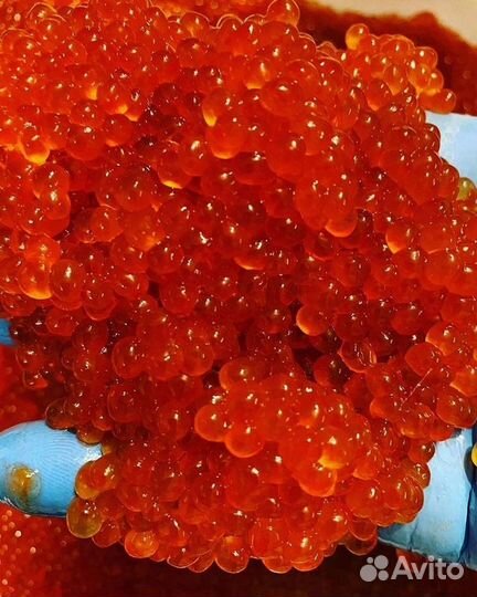Красная икра Кеты опт 1000 г. в наличии