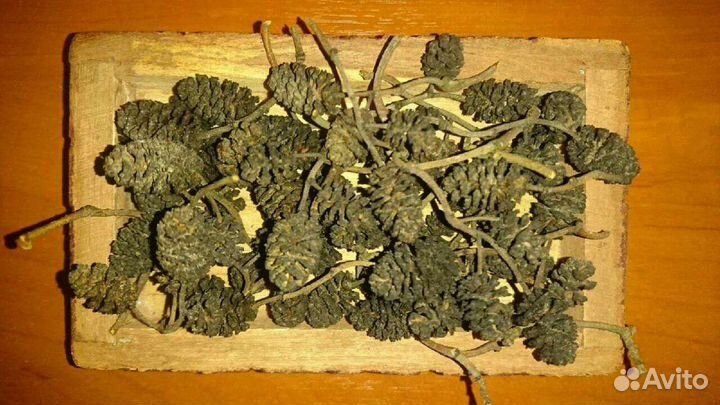 Шишки и семена сосновые, пихтовые и др. для декора