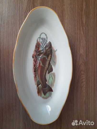 Селедочница новая