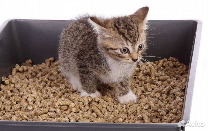 Наполнитель древесный для Ваших питомцев