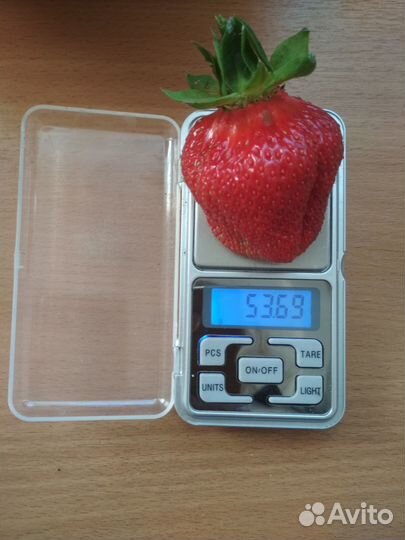 Клубника Королева Елизавета и Елизавета II