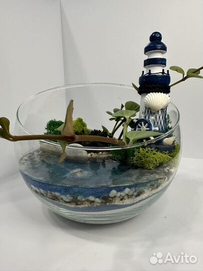Флорариум с водоемом+подарочная упаковка