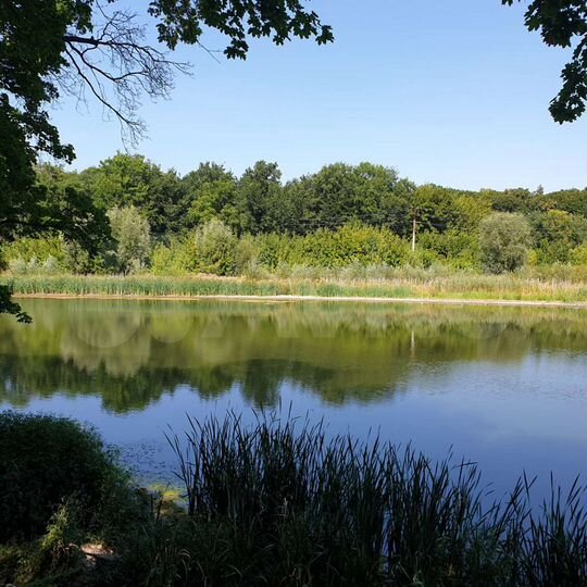 Участок 40,5 сот. (ИЖС)