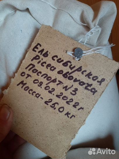 Семена / Ель обыкновенная