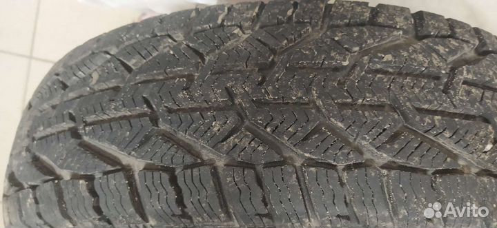Tigar Winter 185/65 R15