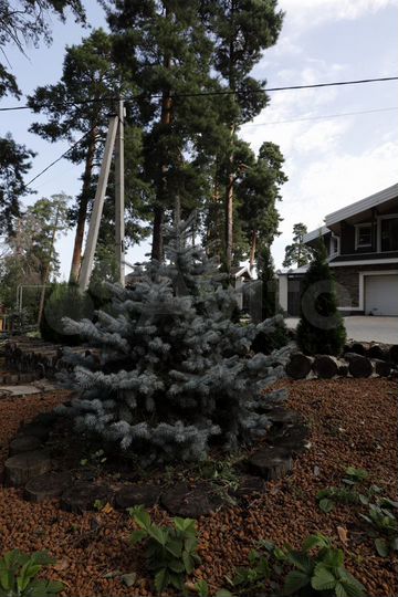 Дом 327 м² на участке 7,8 сот.