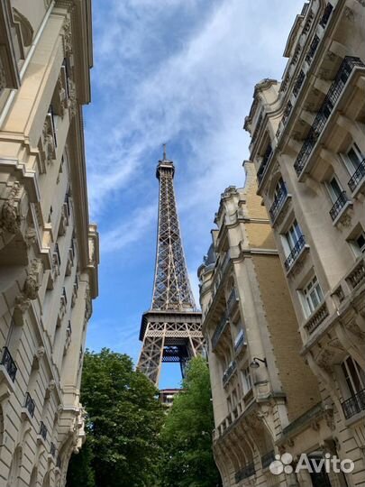 Парфюм Zielinski & Rozen Pink Pepper, Elemi