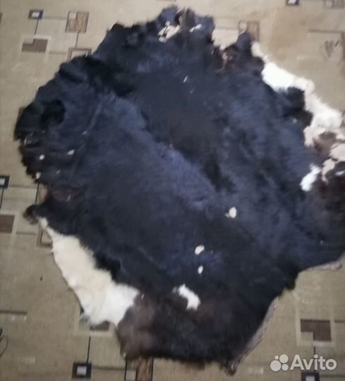 Шкура коровы