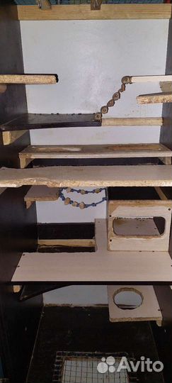 Клетка витрина