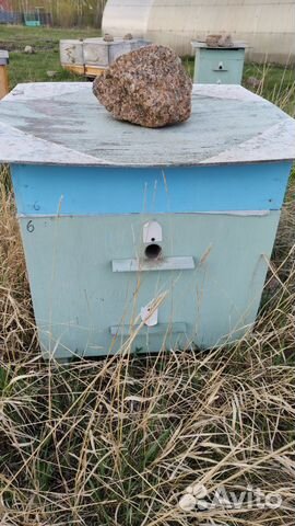 Ульи для пчел (очень теплые - 50 мм утеплитель)