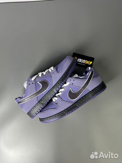 Кроссовки Nike Concepts x Nike SB Dunk Low Purple