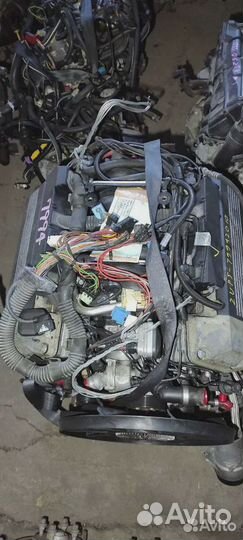 Двигатель BMW X5 4.4i 448S2 E53 286лс M62B44