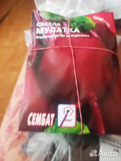 Семена свеклы и брюквы
