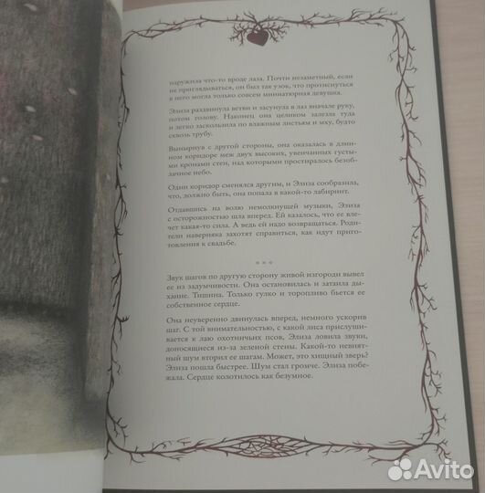 Элиза в сердце лабиринта