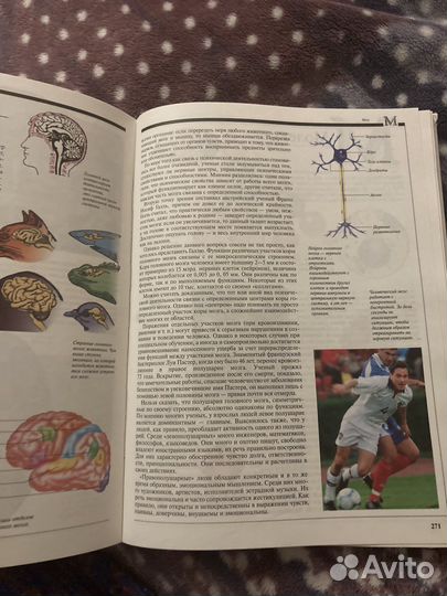 Детская энциклопедия издательство Астрель