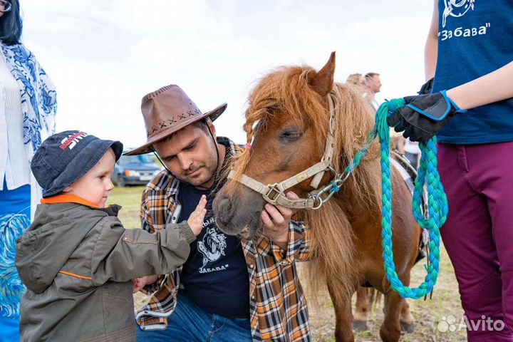 Конные прогулки