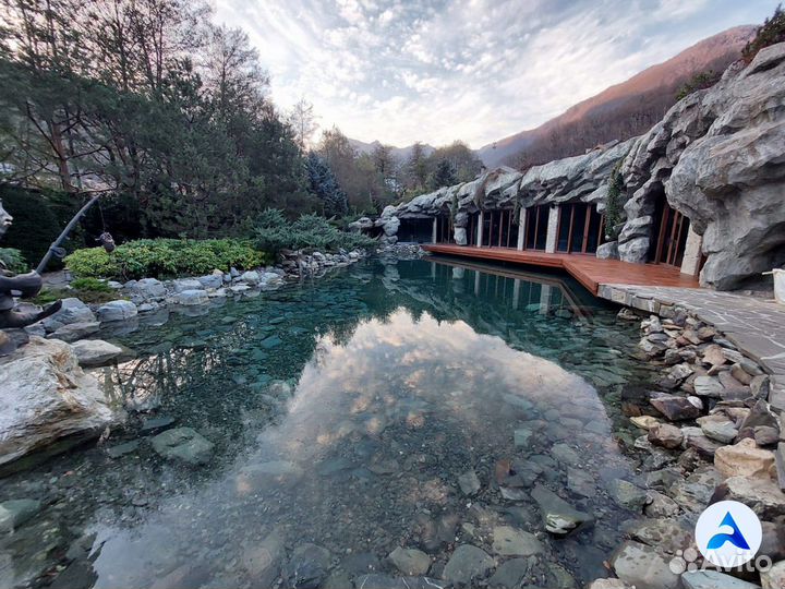 Пруд, дарящий спокойствие и радость