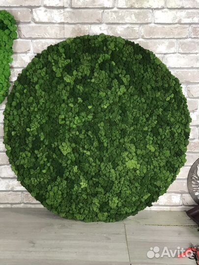 Панно круг 100 см из стабилизированного мха ягеля