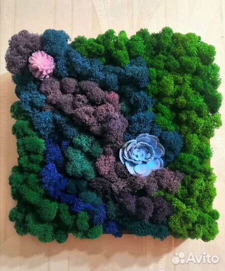 Панно Стабилизированный мох Картина Подарок