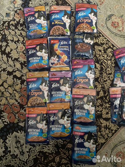 Корм для кошек влажный