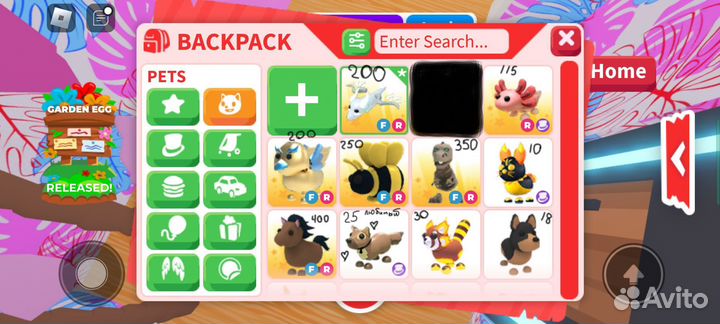 Петы адопт ми