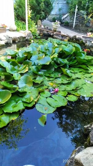 Дача 40 м² на участке 4 сот.