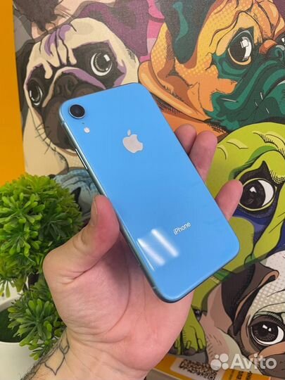 iPhone Xr, 256 ГБ