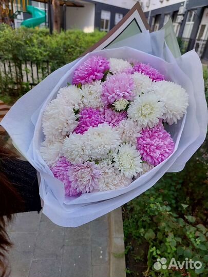 Цветы букеты с доставкой