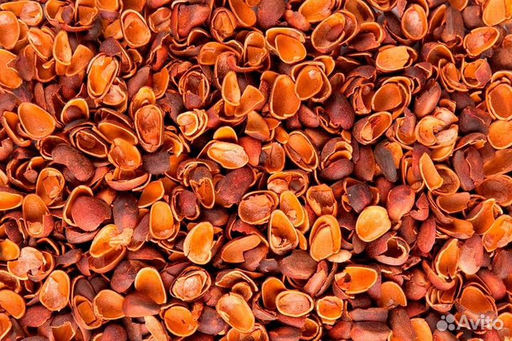 Скорлупа кедрового ореха