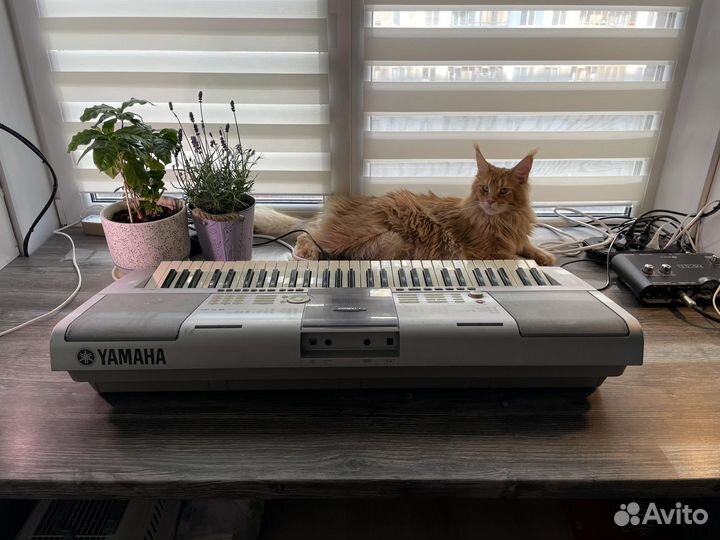 Yamaha psr295