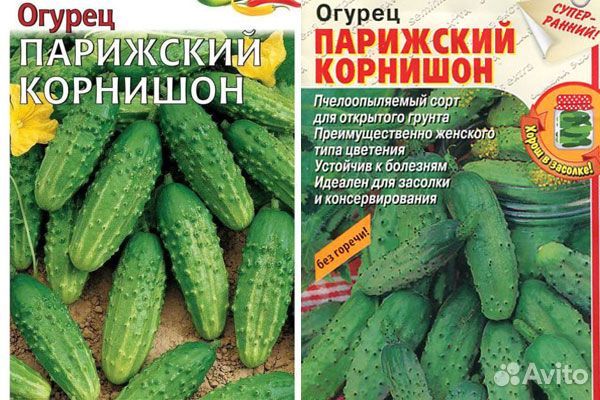 Семена огурцов