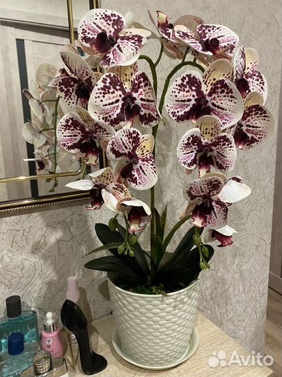 Подарок на 8 марта