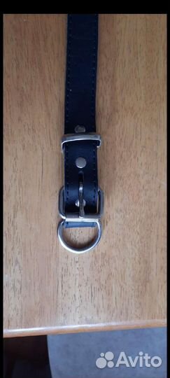 Ошейник для собак