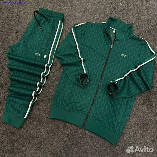 Спортивный костюм lacoste (Арт.18834)