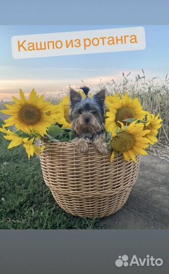 Кашпо из ротанга