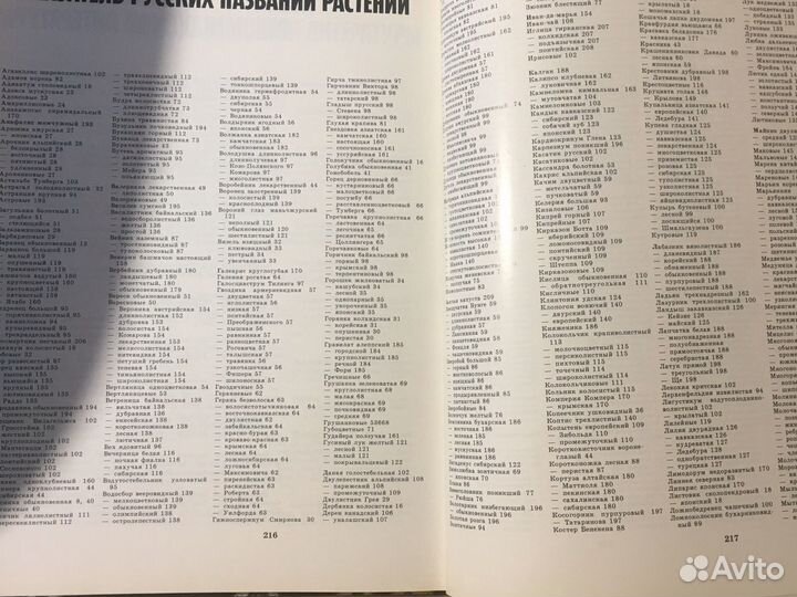 «Лесные травянистые растения»