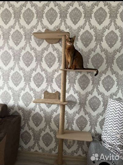 Когтеточка с домиком