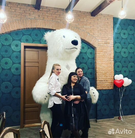 Белый мишка и панда /экспресс поздравление