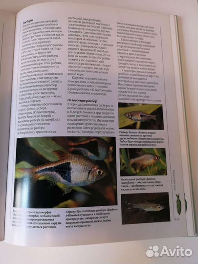 Энциклопедия аквариумные рыбки